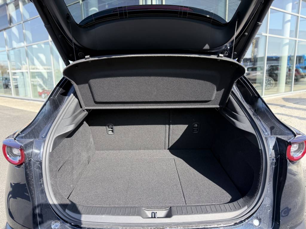 MAZDA CX-30 2025 2.0L E-SA X M HYBRID 186 CH BVA6 HOMURA