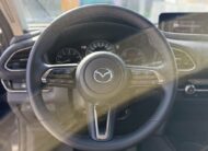 MAZDA CX-30 2025 2.0L E-SA X M HYBRID 186 CH BVA6 HOMURA